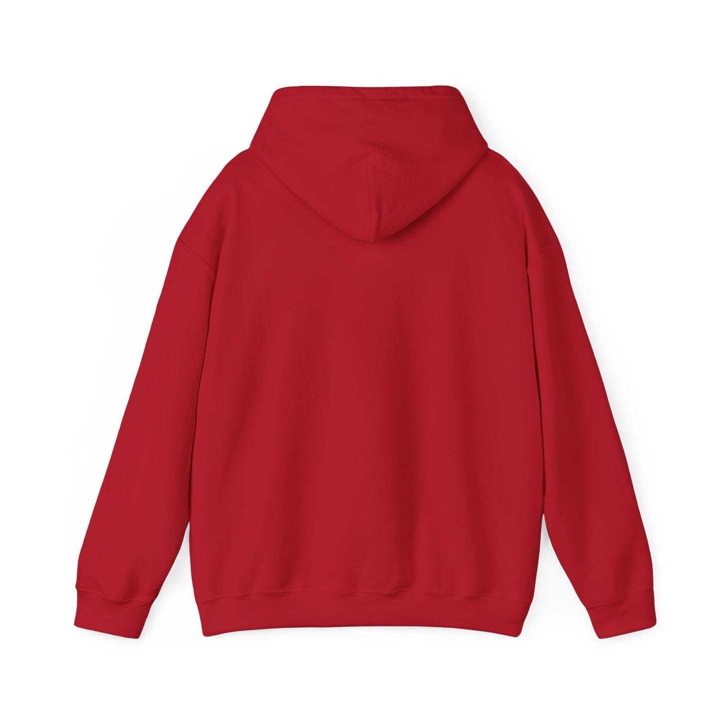 Trust No One Graphic Unisex Hoodie – Casual Streetwear for Everyday Comfort