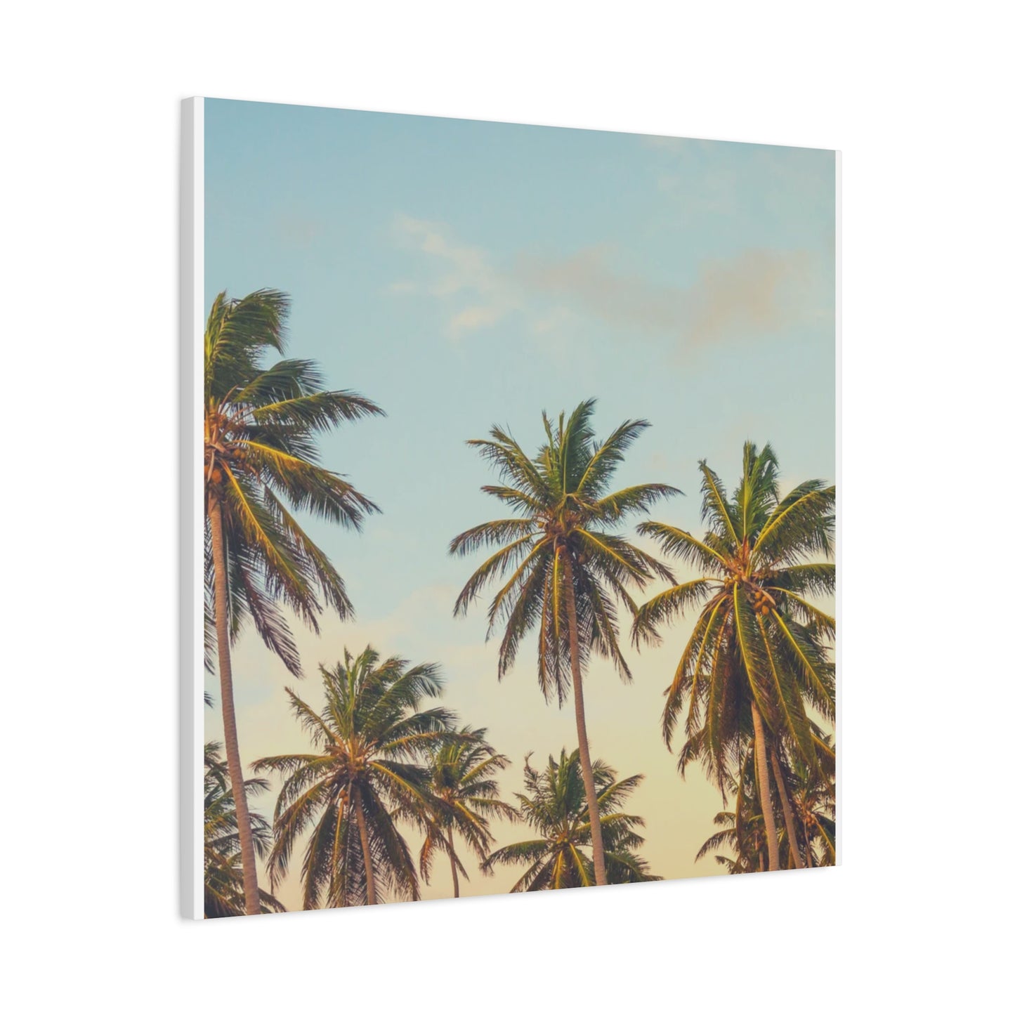 Tropical Palm Tree Canvas Print, City of Angeles Tropical Wall Art, Los Angeles Beach Decor, California Nature Photography, Home Decoration, Gift for Beach Lovers