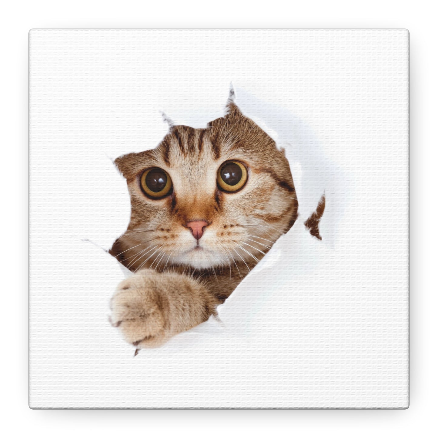 Whimsical Cat Canvas Art, Playful Decor for Cat Lovers, Home Wall Art, Pet-Themed Gift, Cute Cat Wall Art, Cat Lover's Decoration