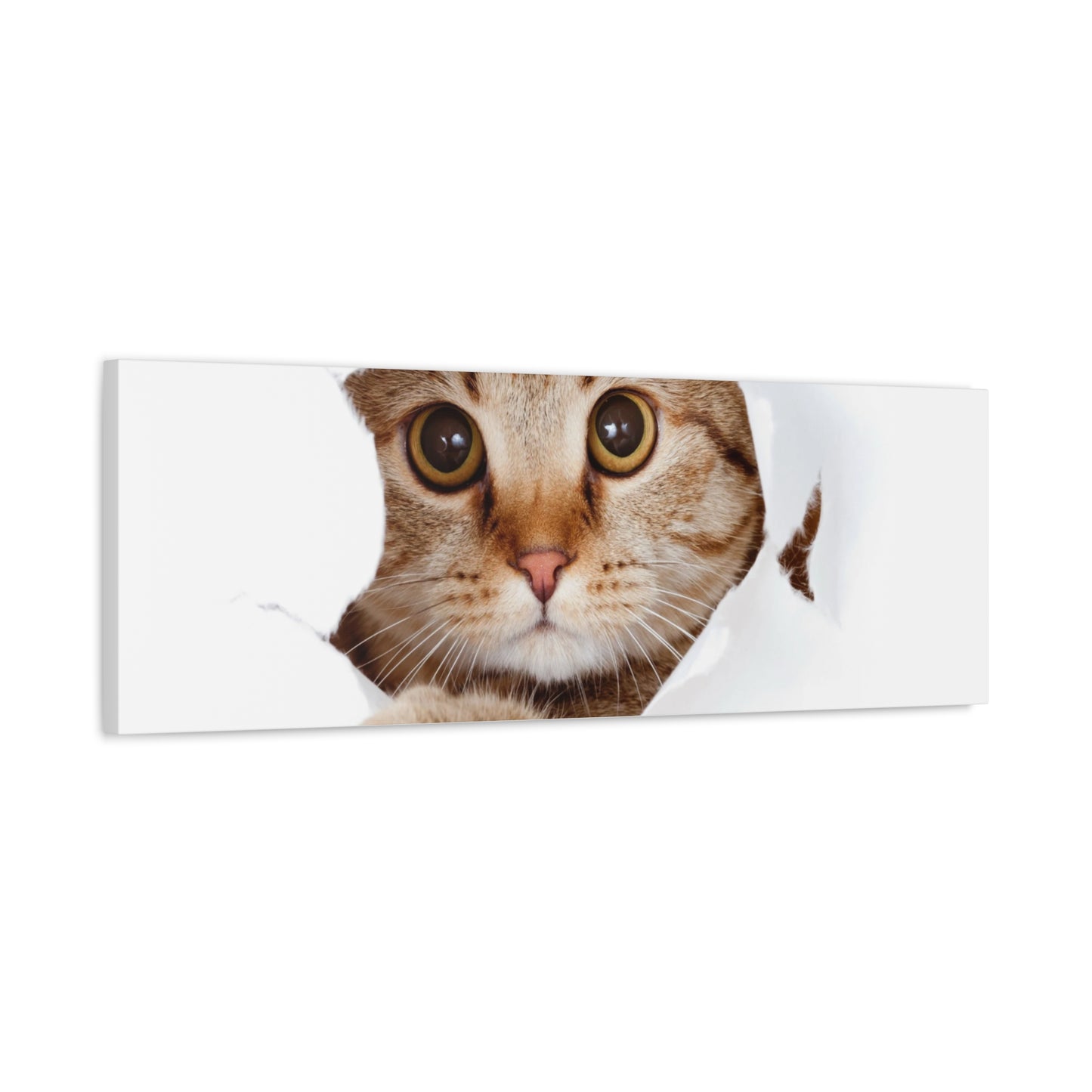 Whimsical Cat Canvas Art, Playful Decor for Cat Lovers, Home Wall Art, Pet-Themed Gift, Cute Cat Wall Art, Cat Lover's Decoration