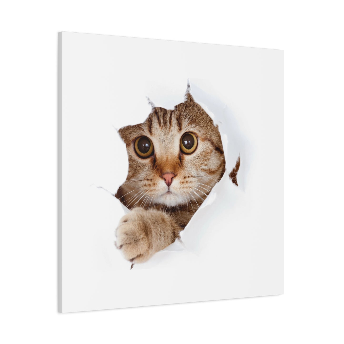 Whimsical Cat Canvas Art, Playful Decor for Cat Lovers, Home Wall Art, Pet-Themed Gift, Cute Cat Wall Art, Cat Lover's Decoration