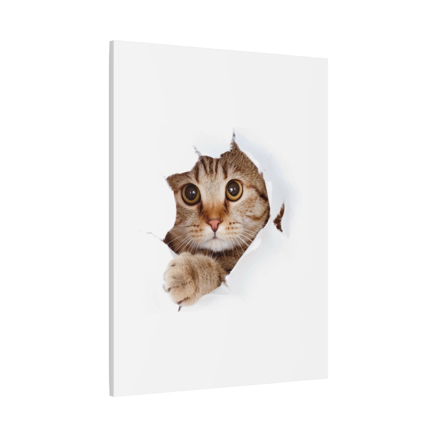 Whimsical Cat Canvas Art, Playful Decor for Cat Lovers, Home Wall Art, Pet-Themed Gift, Cute Cat Wall Art, Cat Lover's Decoration