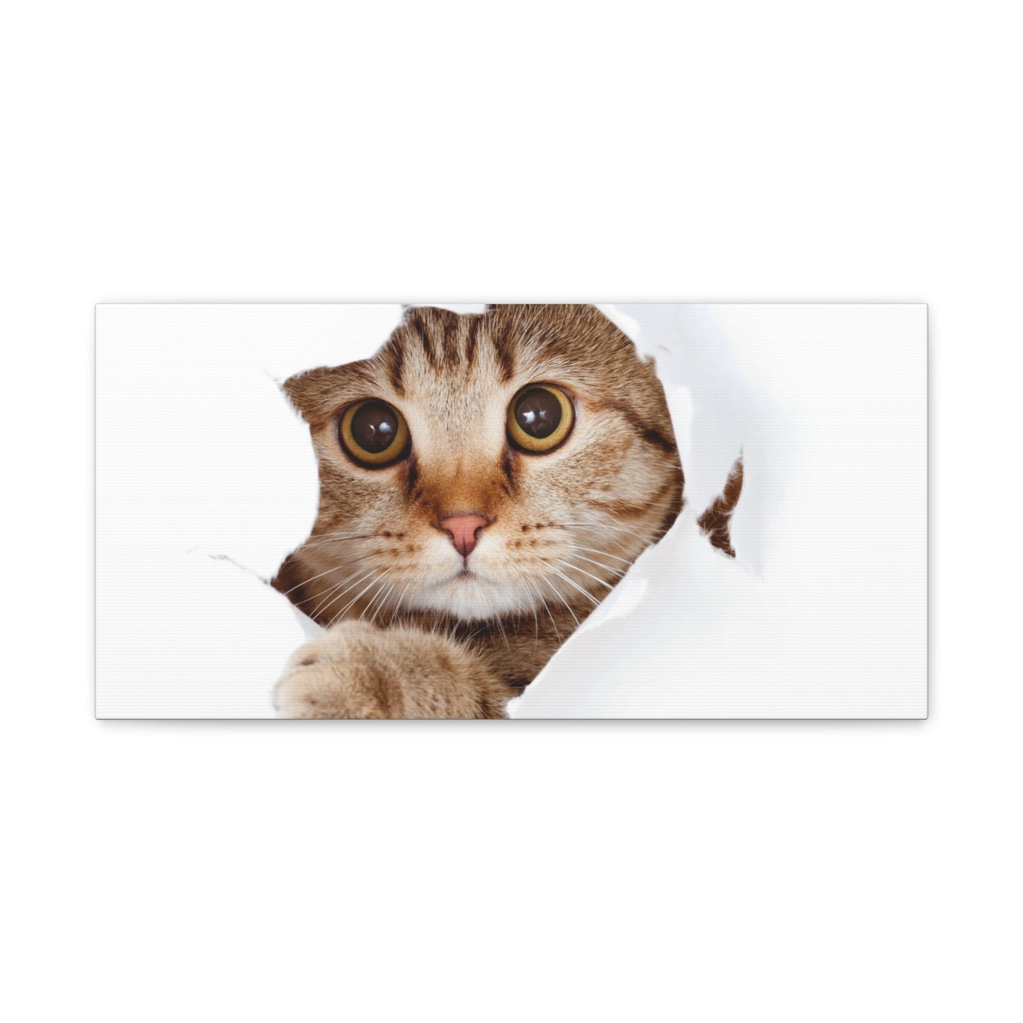 Whimsical Cat Canvas Art, Playful Decor for Cat Lovers, Home Wall Art, Pet-Themed Gift, Cute Cat Wall Art, Cat Lover's Decoration