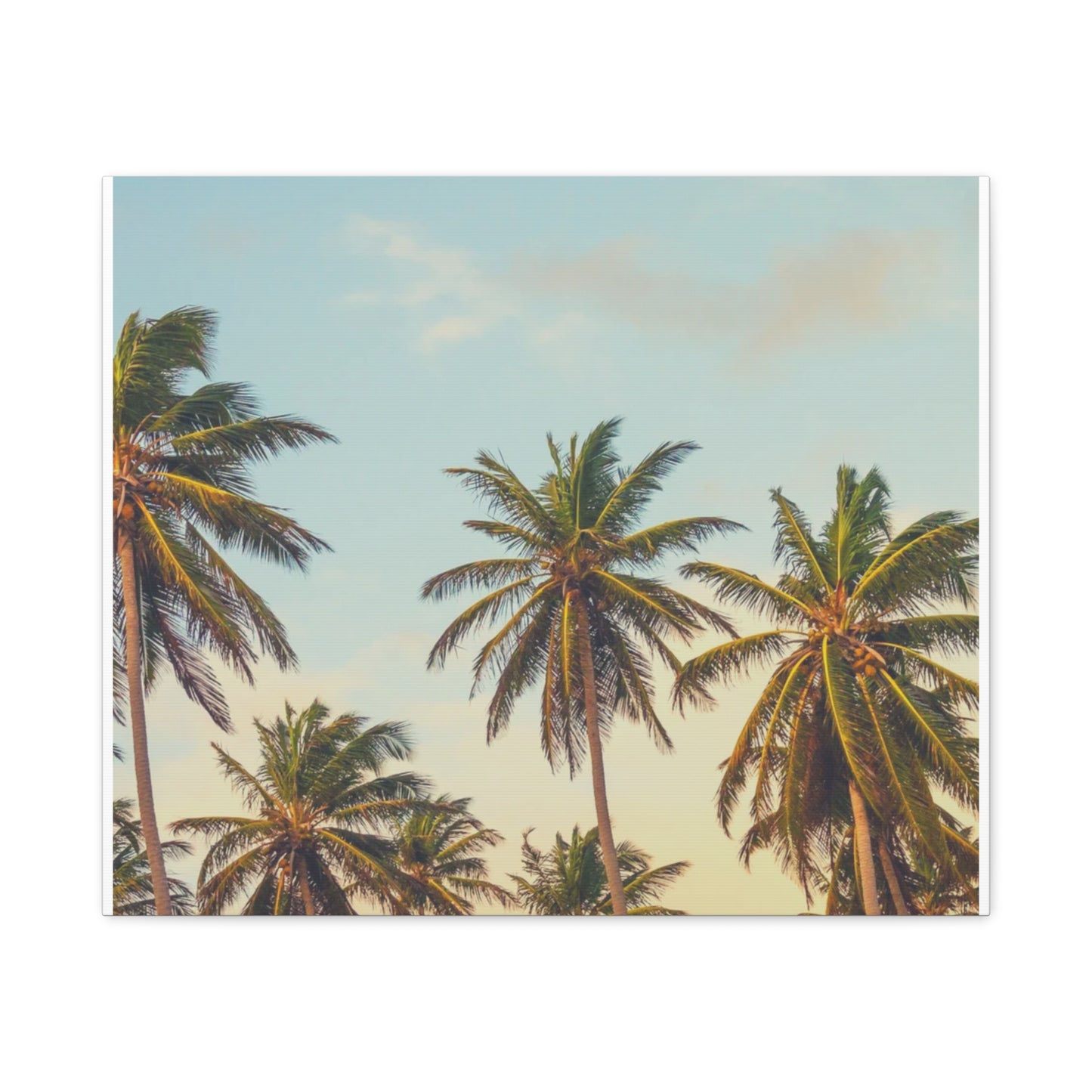 Tropical Palm Tree Canvas Print, City of Angeles Tropical Wall Art, Los Angeles Beach Decor, California Nature Photography, Home Decoration, Gift for Beach Lovers