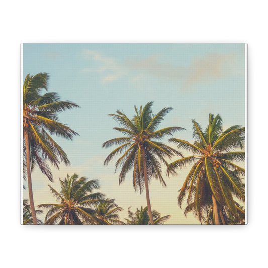 Tropical Palm Tree Canvas Print, City of Angeles Tropical Wall Art, Los Angeles Beach Decor, California Nature Photography, Home Decoration, Gift for Beach Lovers
