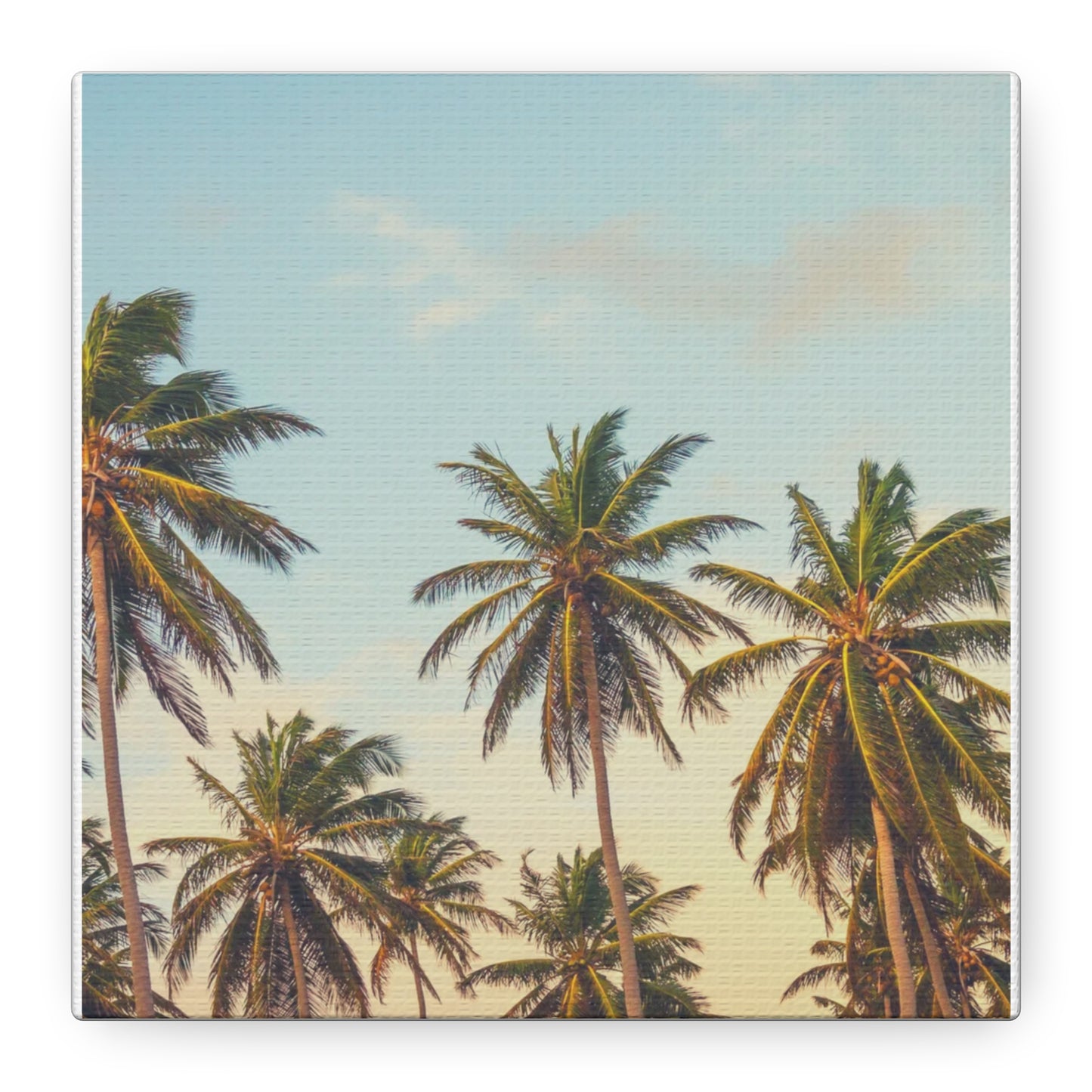 Tropical Palm Tree Canvas Print, City of Angeles Tropical Wall Art, Los Angeles Beach Decor, California Nature Photography, Home Decoration, Gift for Beach Lovers
