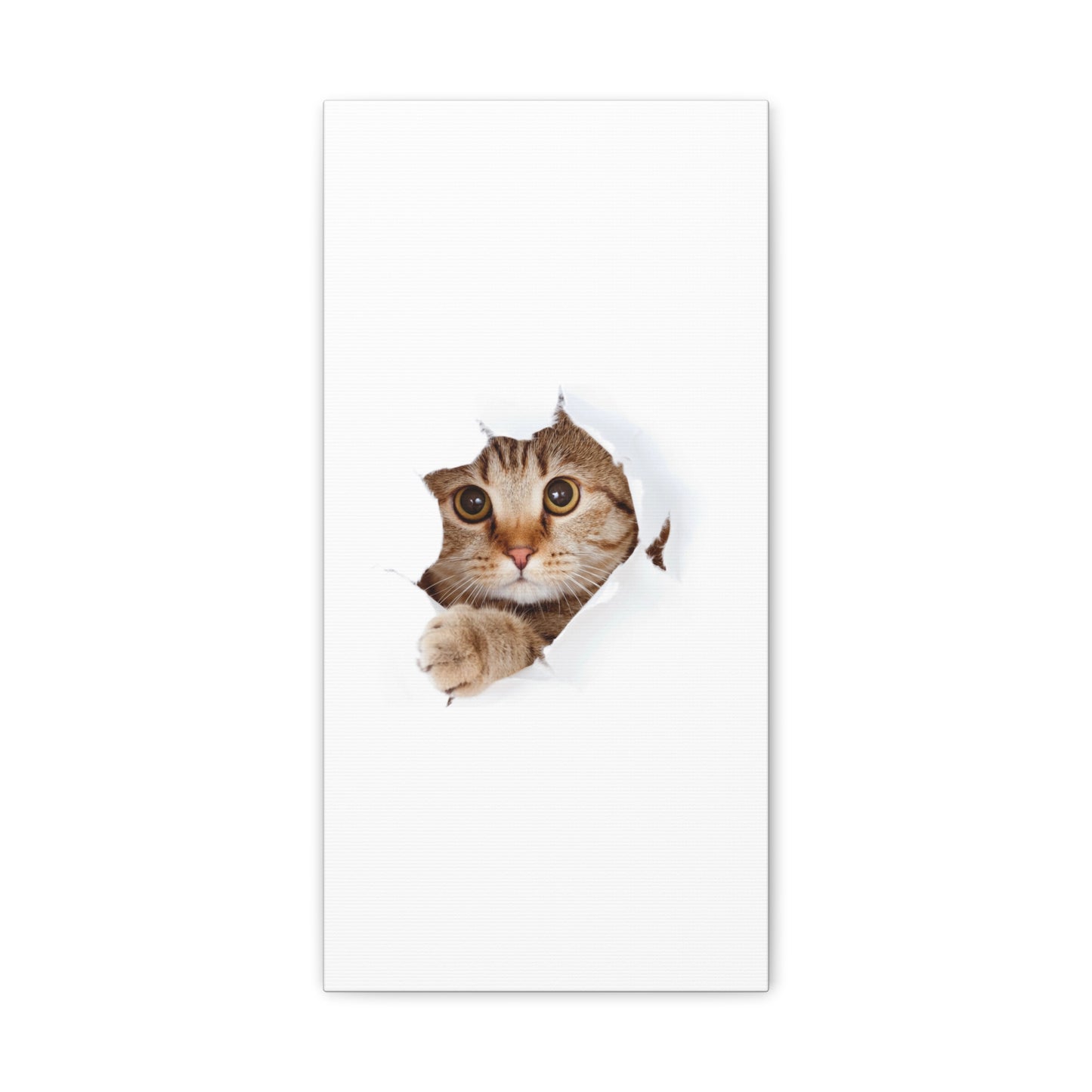 Whimsical Cat Canvas Art, Playful Decor for Cat Lovers, Home Wall Art, Pet-Themed Gift, Cute Cat Wall Art, Cat Lover's Decoration