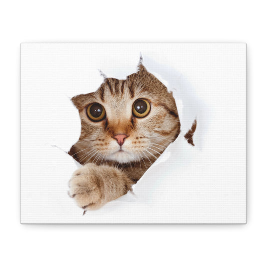 Whimsical Cat Canvas Art, Playful Decor for Cat Lovers, Home Wall Art, Pet-Themed Gift, Cute Cat Wall Art, Cat Lover's Decoration