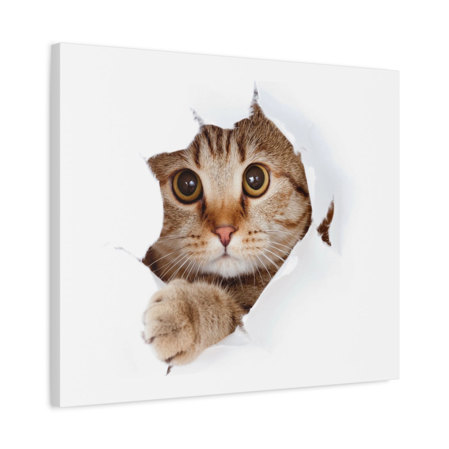Whimsical Cat Canvas Art, Playful Decor for Cat Lovers, Home Wall Art, Pet-Themed Gift, Cute Cat Wall Art, Cat Lover's Decoration