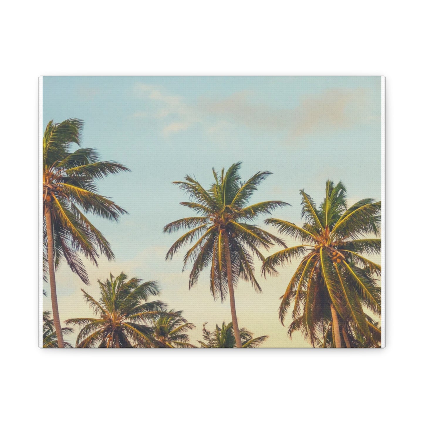 Tropical Palm Tree Canvas Print, City of Angeles Tropical Wall Art, Los Angeles Beach Decor, California Nature Photography, Home Decoration, Gift for Beach Lovers