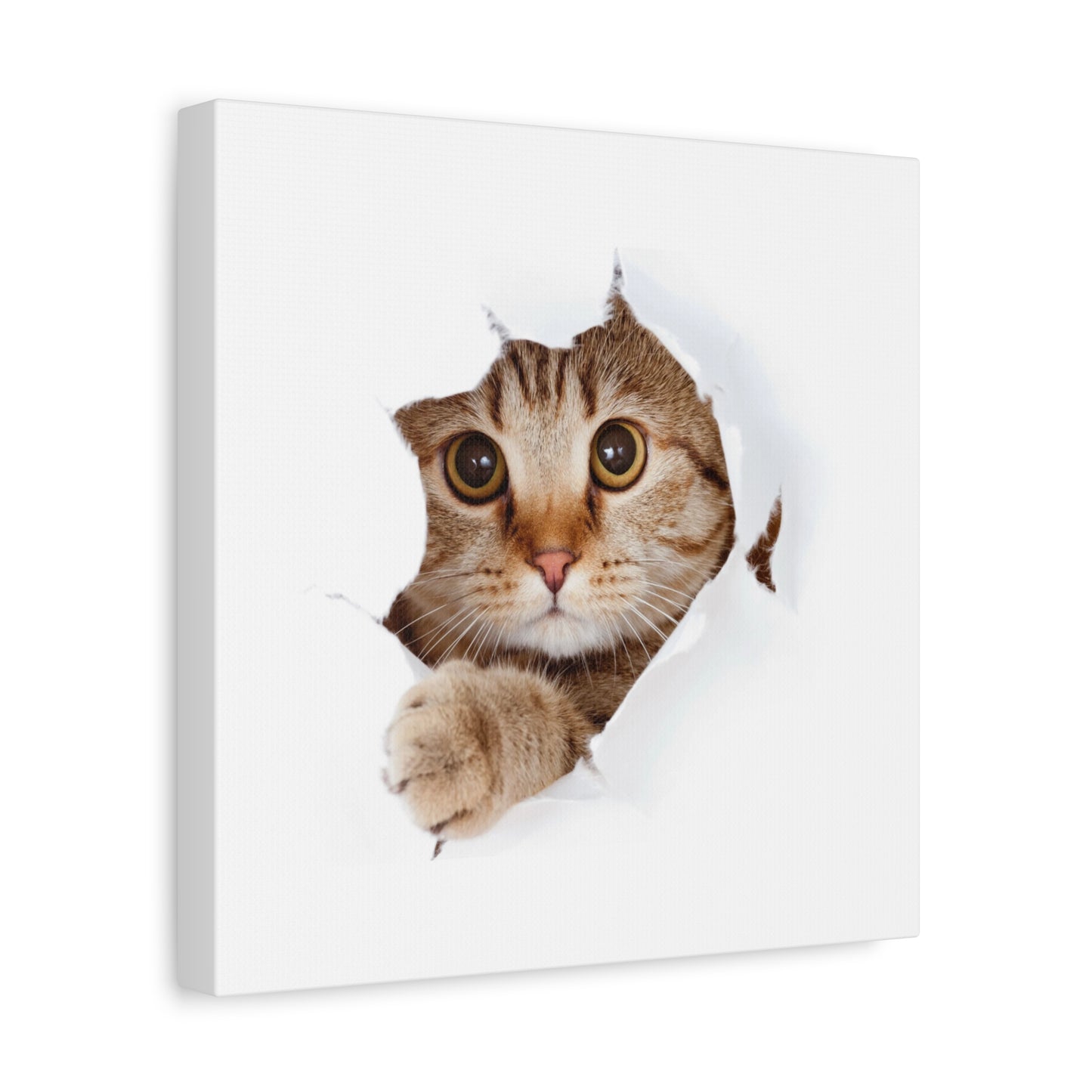 Whimsical Cat Canvas Art, Playful Decor for Cat Lovers, Home Wall Art, Pet-Themed Gift, Cute Cat Wall Art, Cat Lover's Decoration