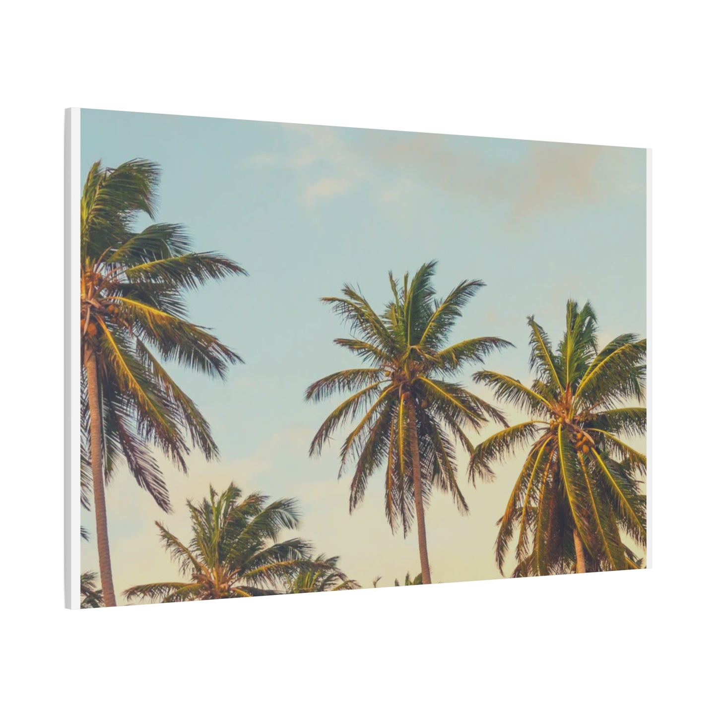 Tropical Palm Tree Canvas Print, City of Angeles Tropical Wall Art, Los Angeles Beach Decor, California Nature Photography, Home Decoration, Gift for Beach Lovers
