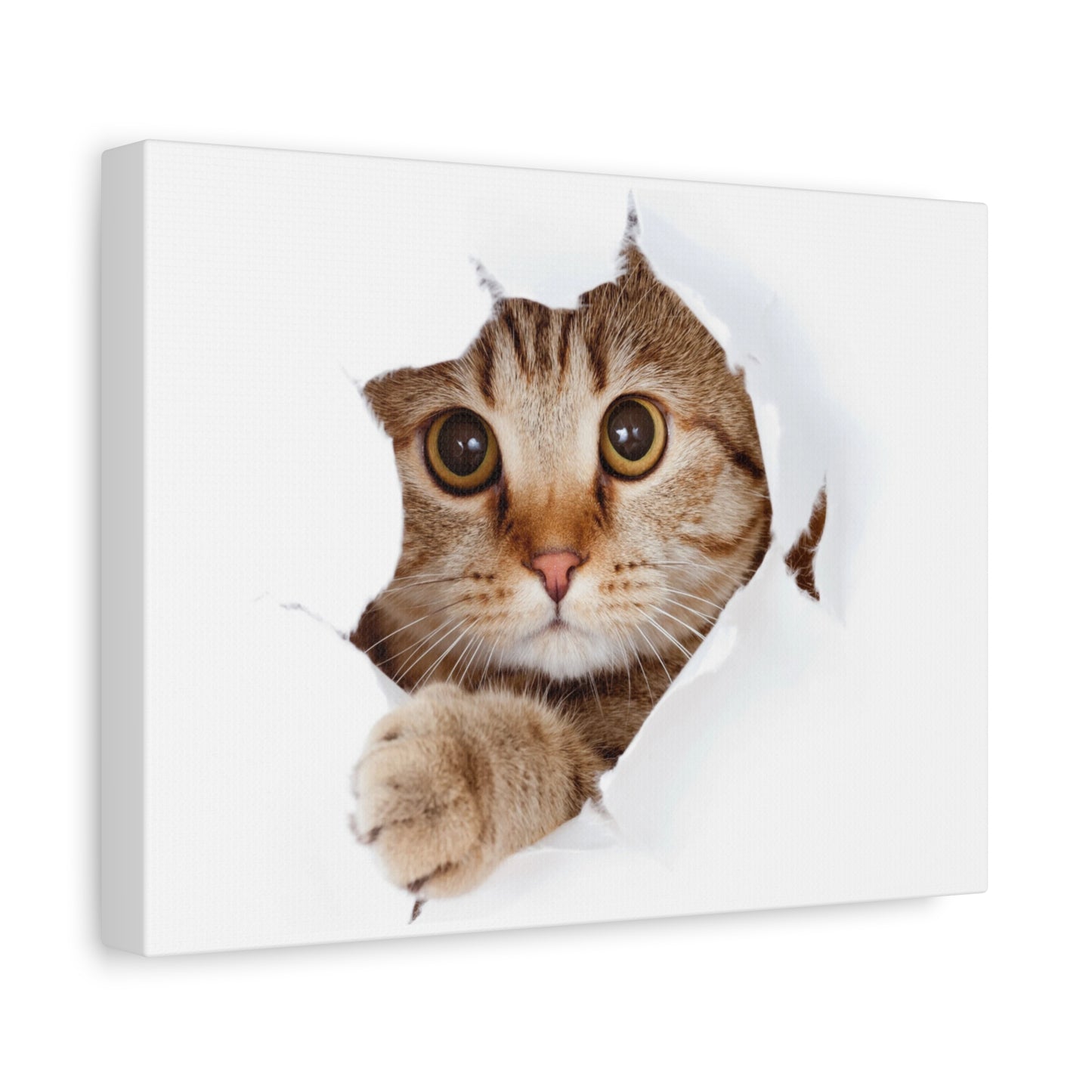 Whimsical Cat Canvas Art, Playful Decor for Cat Lovers, Home Wall Art, Pet-Themed Gift, Cute Cat Wall Art, Cat Lover's Decoration