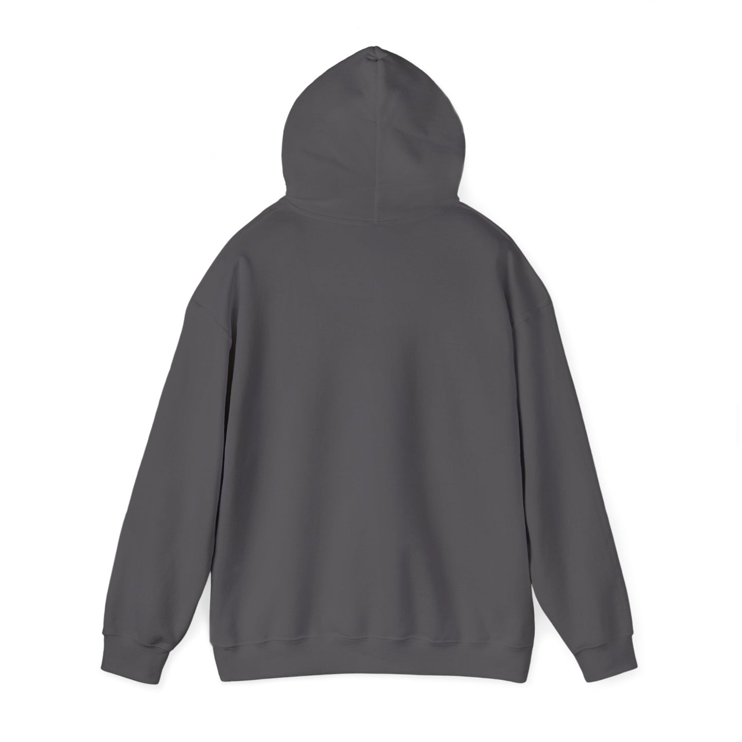 Trust No One Graphic Unisex Hoodie – Casual Streetwear for Everyday Comfort