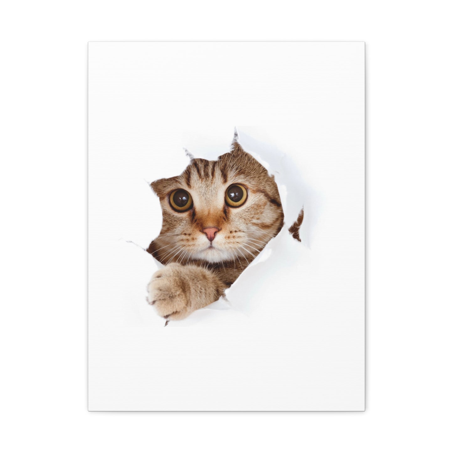 Whimsical Cat Canvas Art, Playful Decor for Cat Lovers, Home Wall Art, Pet-Themed Gift, Cute Cat Wall Art, Cat Lover's Decoration
