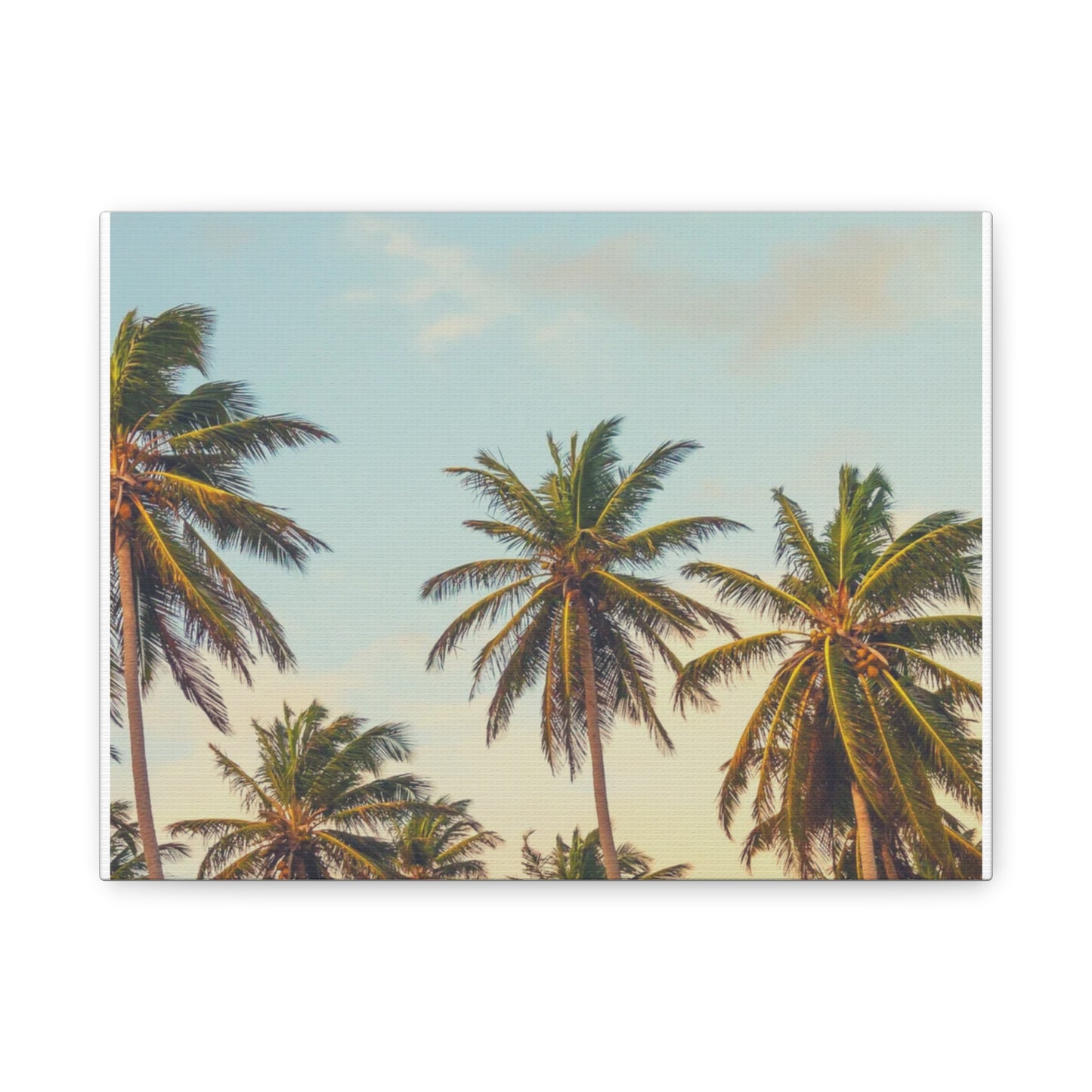 Tropical Palm Tree Canvas Print, City of Angeles Tropical Wall Art, Los Angeles Beach Decor, California Nature Photography, Home Decoration, Gift for Beach Lovers