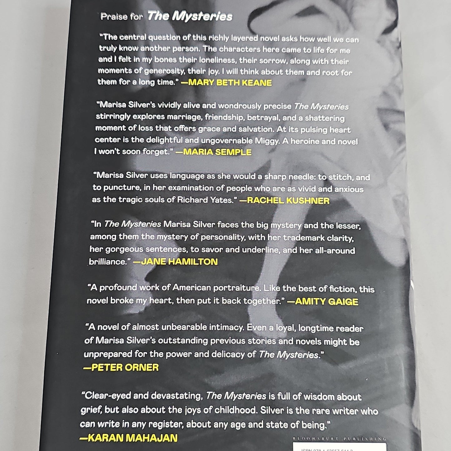 THE MYSTERIES by Marisa Silver Book Hardback (New)