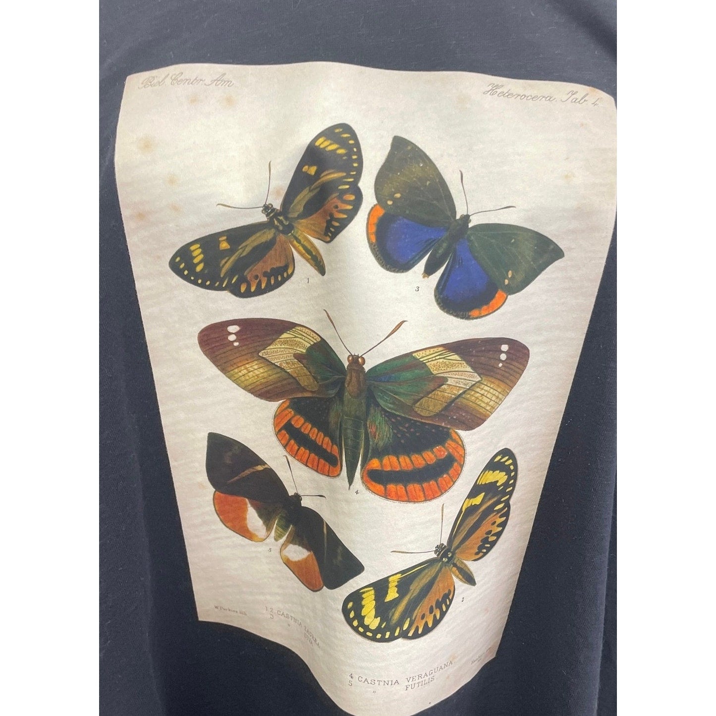 Hand Printed Upcycled Womens 3X Cotton Vintage Reference Book Butterfly Page Tee