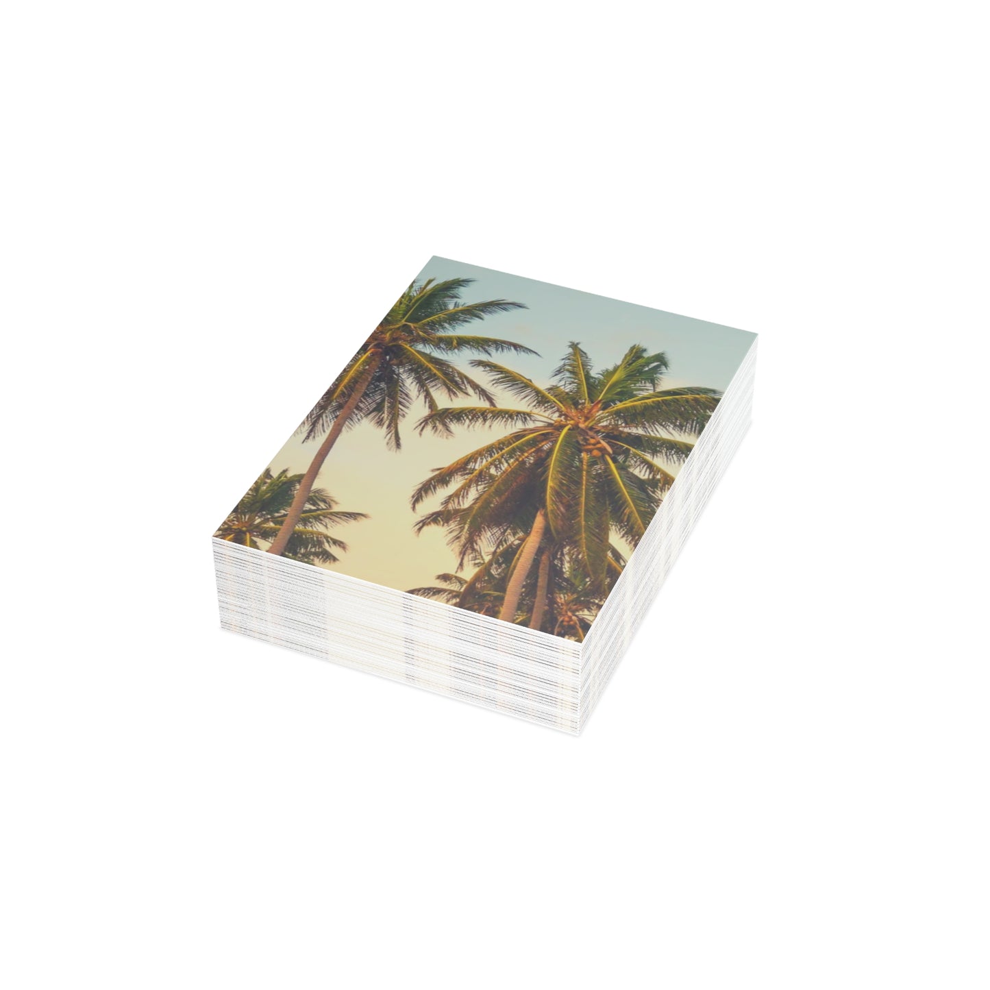 CITY OF ANGELS - Tropical Palm Greeting Cards - Perfect for Summer Celebrations, Birthdays, Thank You Notes, or Just Because!