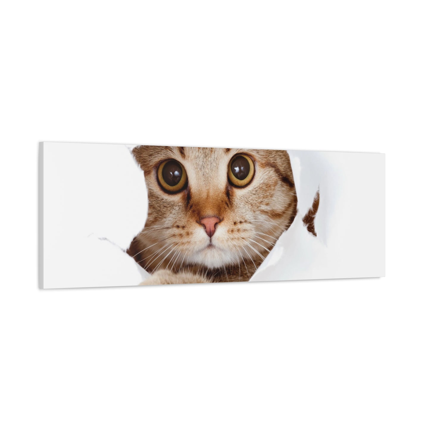 Whimsical Cat Canvas Art, Playful Decor for Cat Lovers, Home Wall Art, Pet-Themed Gift, Cute Cat Wall Art, Cat Lover's Decoration