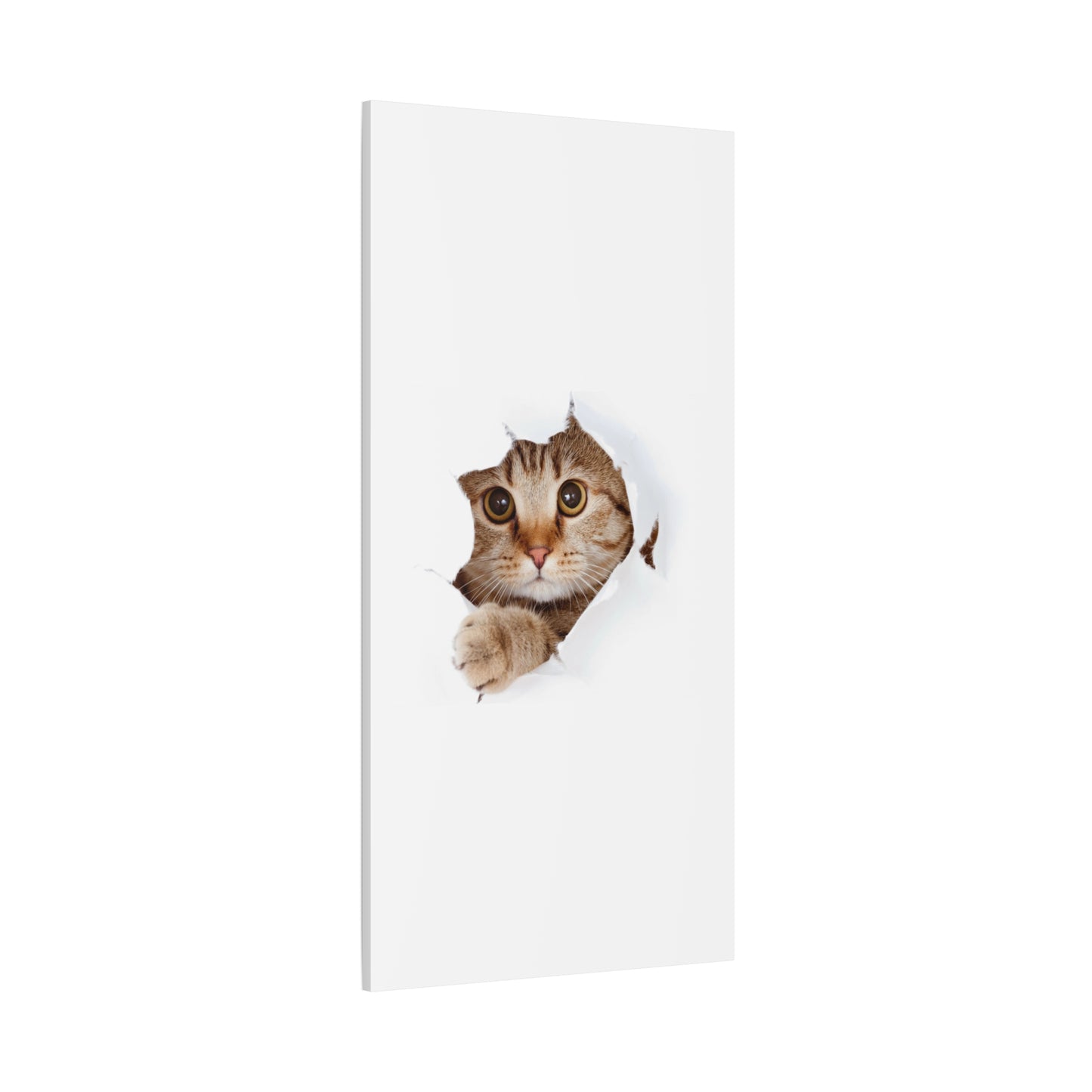 Whimsical Cat Canvas Art, Playful Decor for Cat Lovers, Home Wall Art, Pet-Themed Gift, Cute Cat Wall Art, Cat Lover's Decoration