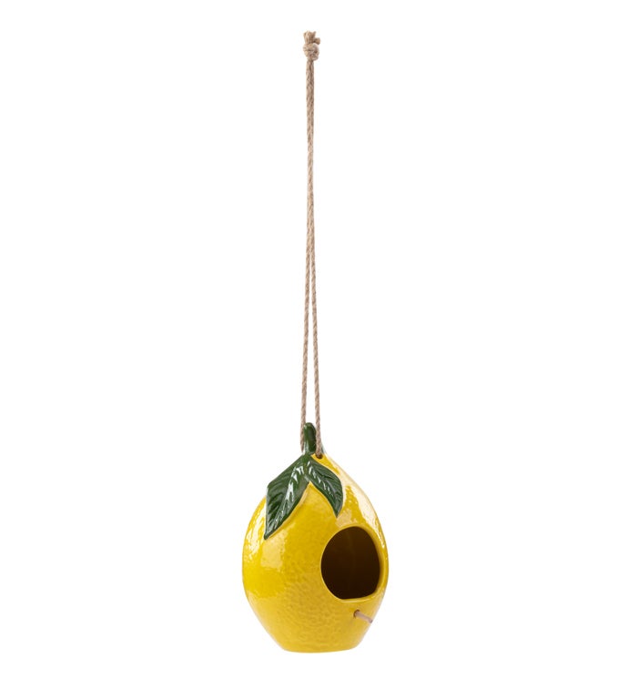 Ceramic Lemon Birdhouse-0