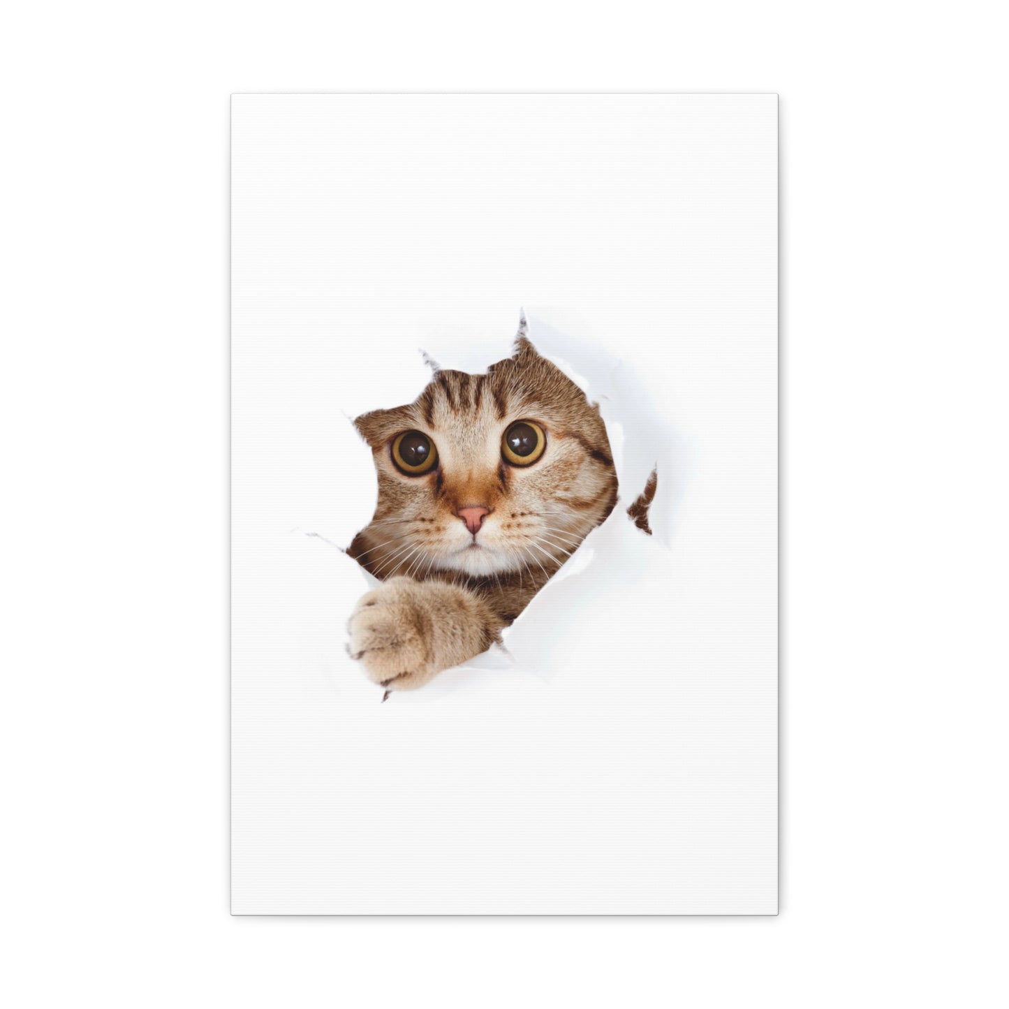 Whimsical Cat Canvas Art, Playful Decor for Cat Lovers, Home Wall Art, Pet-Themed Gift, Cute Cat Wall Art, Cat Lover's Decoration