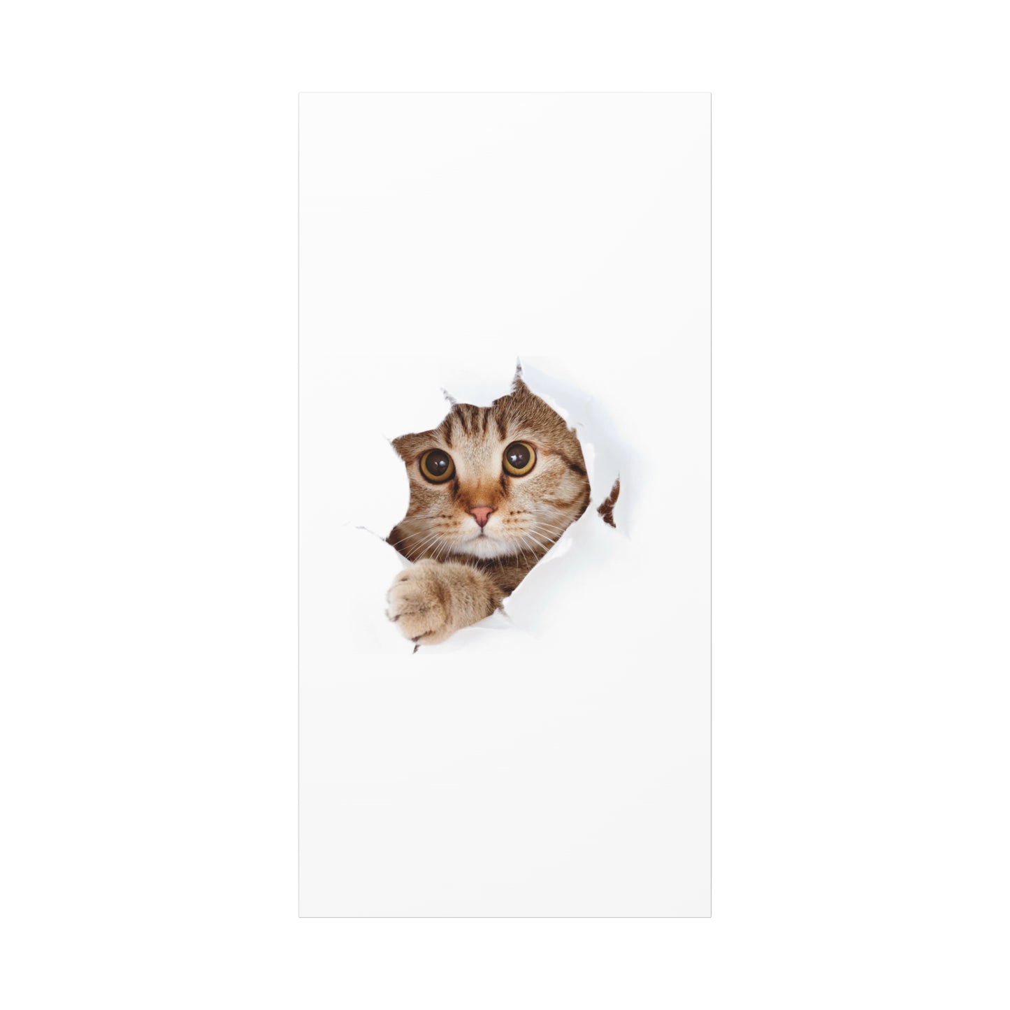 Whimsical Cat Canvas Art, Playful Decor for Cat Lovers, Home Wall Art, Pet-Themed Gift, Cute Cat Wall Art, Cat Lover's Decoration