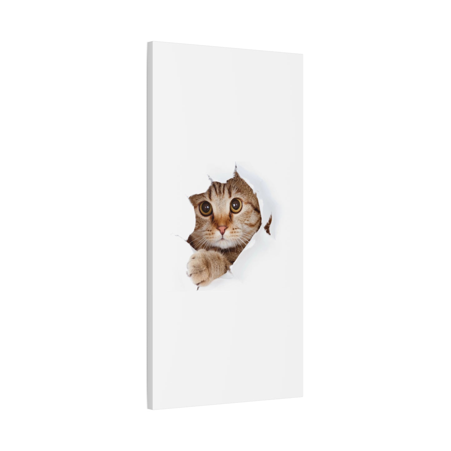 Whimsical Cat Canvas Art, Playful Decor for Cat Lovers, Home Wall Art, Pet-Themed Gift, Cute Cat Wall Art, Cat Lover's Decoration