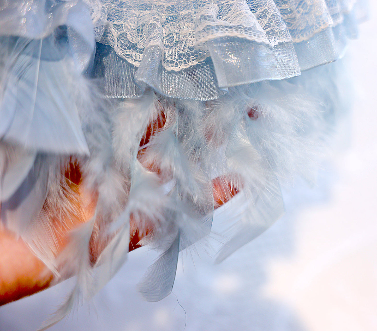 Dog Dress Feather Dream Princess Dress