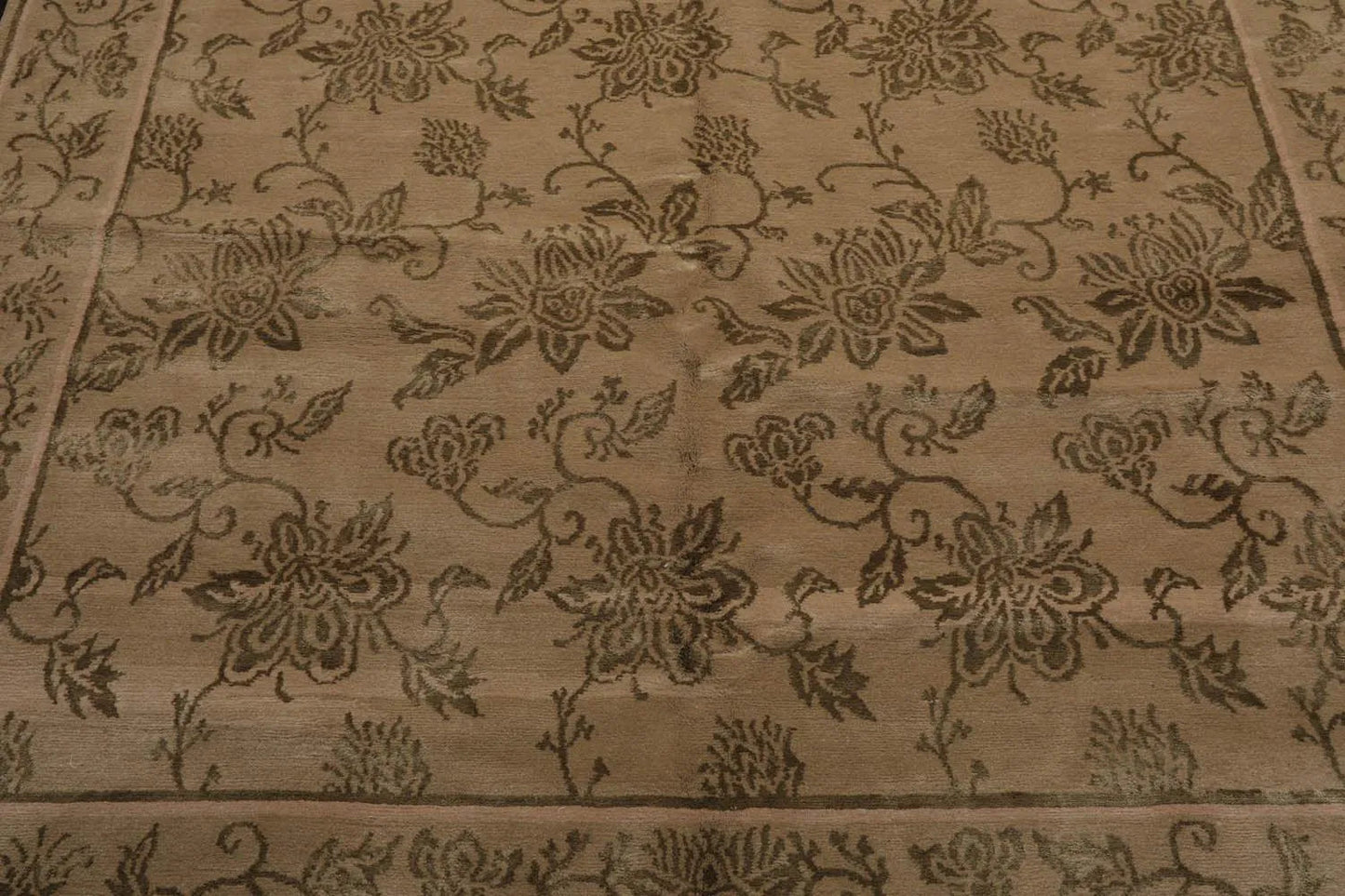 Tibetan Hand Knotted Wool & Silk Transitional Oriental Area Rug Tan 6' x 9'-4