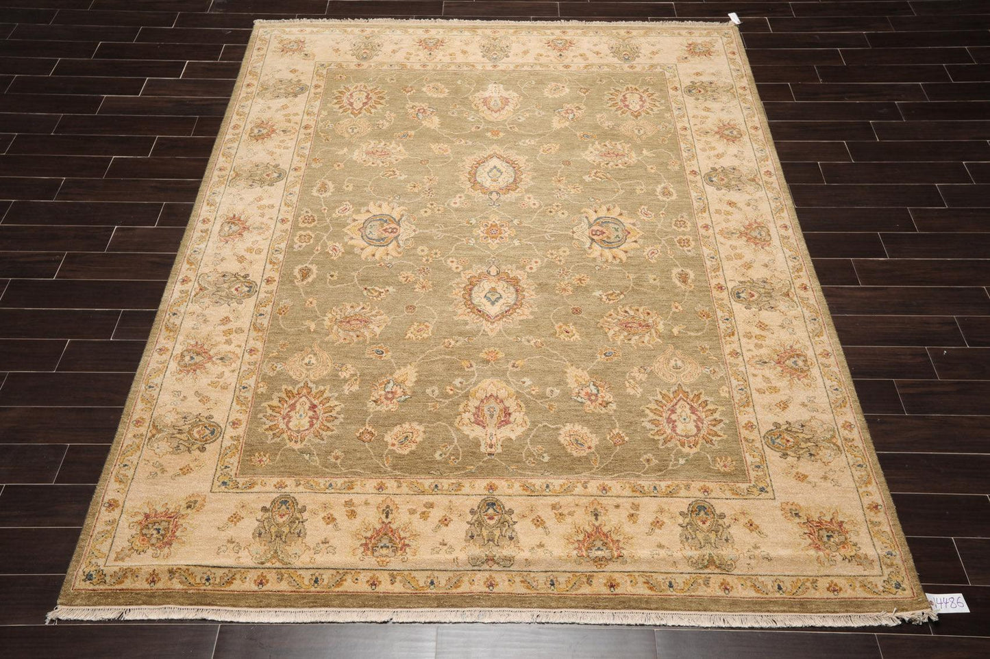 8' x 10'2" Hand Knotted 100% Wool Agra Traditional Oriental Area Rug Pistachio-1
