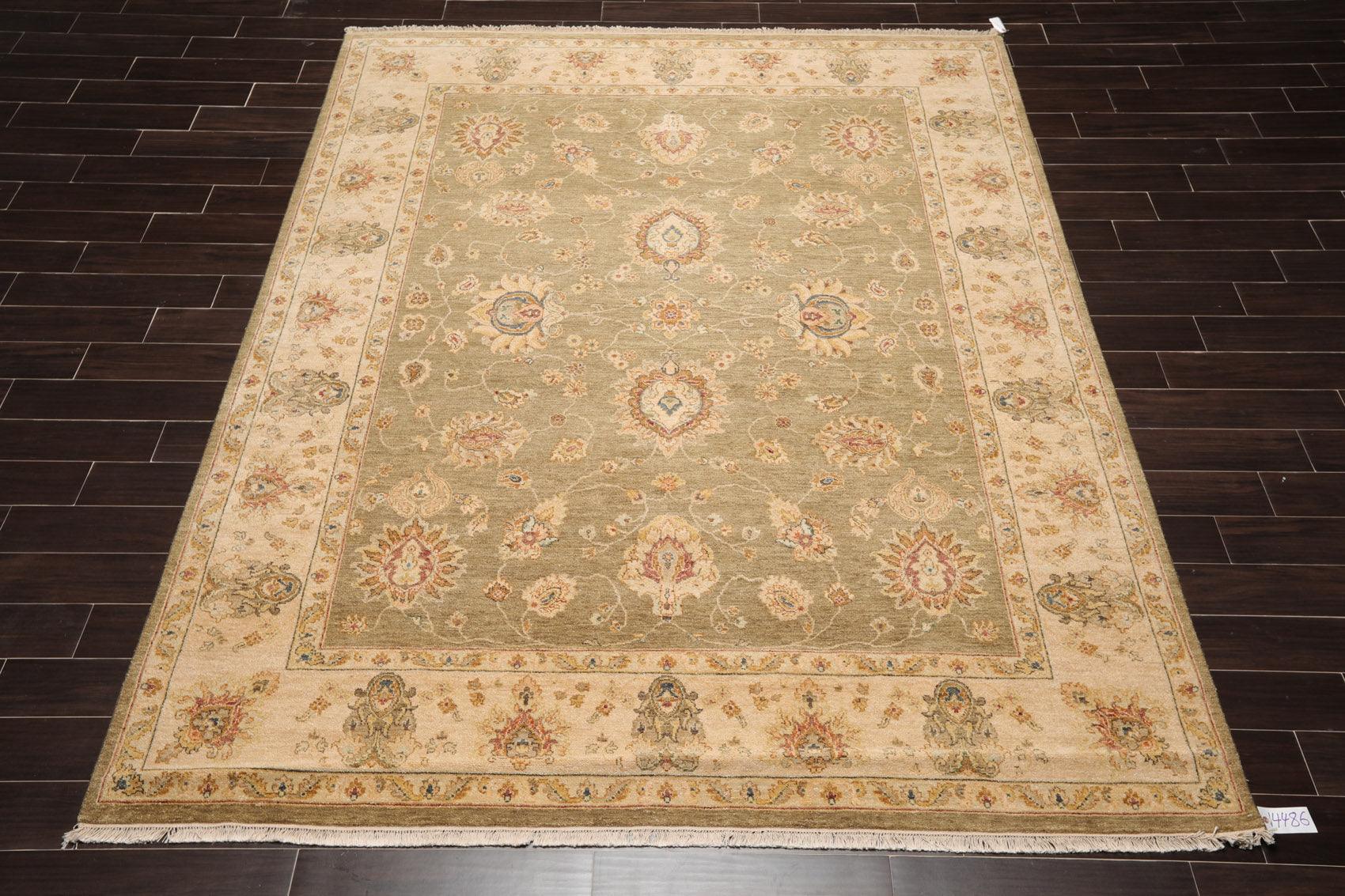 8' x 10'2" Hand Knotted 100% Wool Agra Traditional Oriental Area Rug Pistachio-1