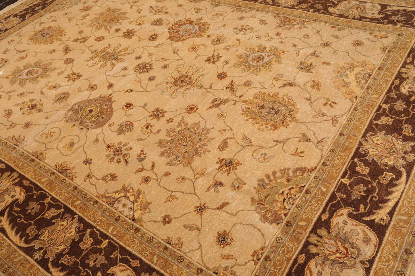 8'10"x 11'10" Hand Knotted 100% Wool Agra Traditional Oriental Area Rug Tan-2