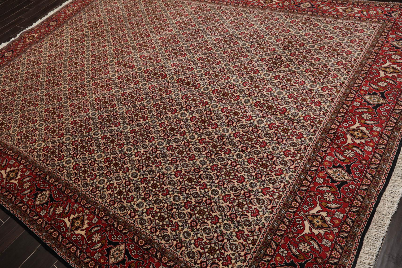8'2" x 11'2" Hand Knotted 100% Wool Authentic Bidjar Oriental Area Rug Ivory-3