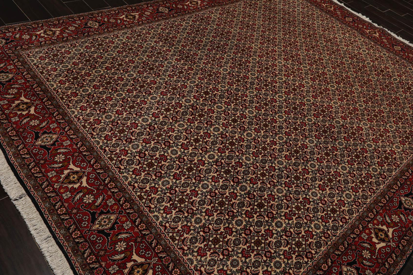 8'2" x 11'2" Hand Knotted 100% Wool Authentic Bidjar Oriental Area Rug Ivory-4