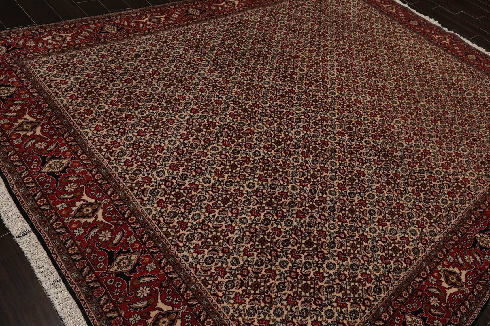 8'2" x 11'2" Hand Knotted 100% Wool Authentic Bidjar Oriental Area Rug Ivory-4