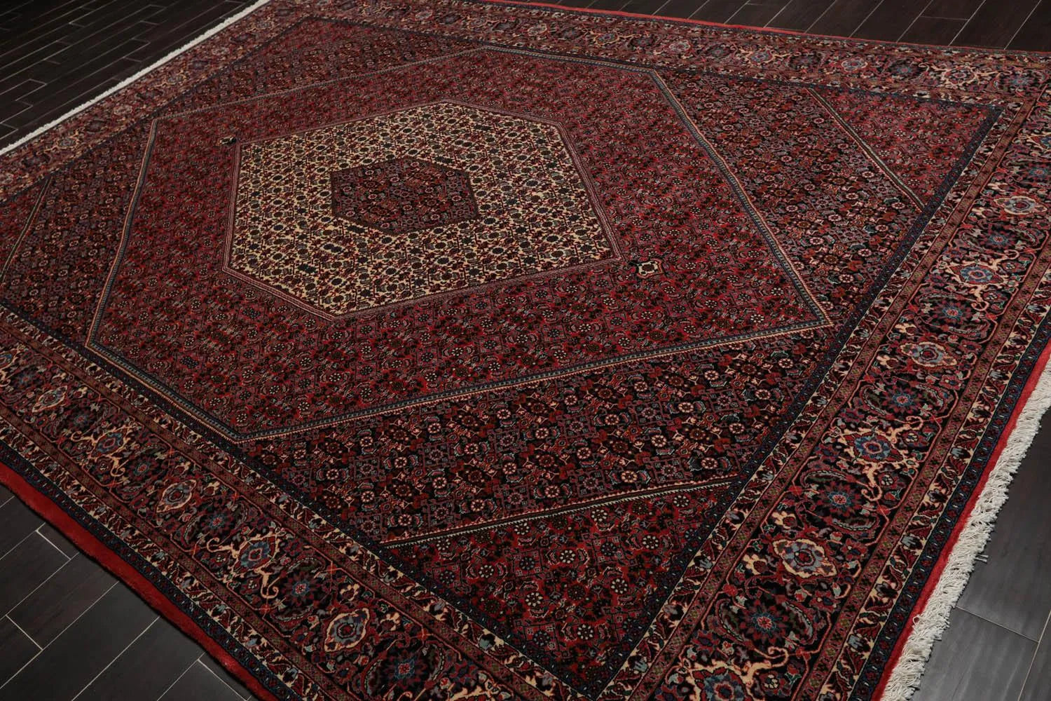 8x10 Red Hand Knotted Wool Authentic Bidjar medallion 300 KPSI Persian Oriental Area Rug-4