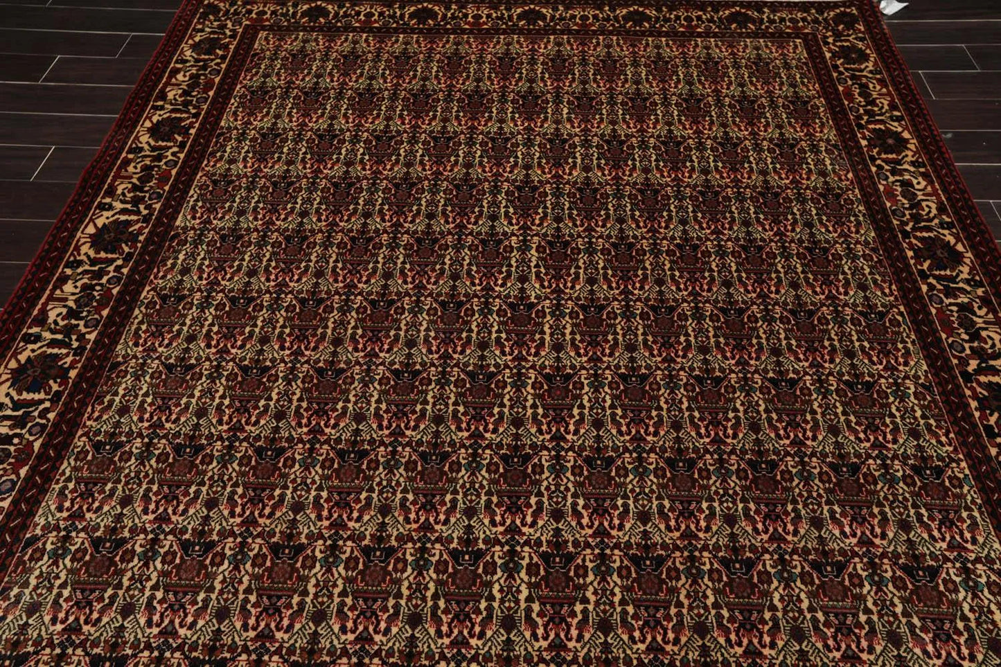 6x9 Ivory, Rust Hand Knotted 100% Wool Vase 200 KPSI Authentic Persian Oriental Area Rug-4