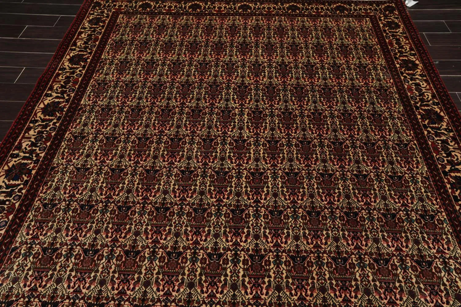 6x9 Ivory, Rust Hand Knotted 100% Wool Vase 200 KPSI Authentic Persian Oriental Area Rug-4