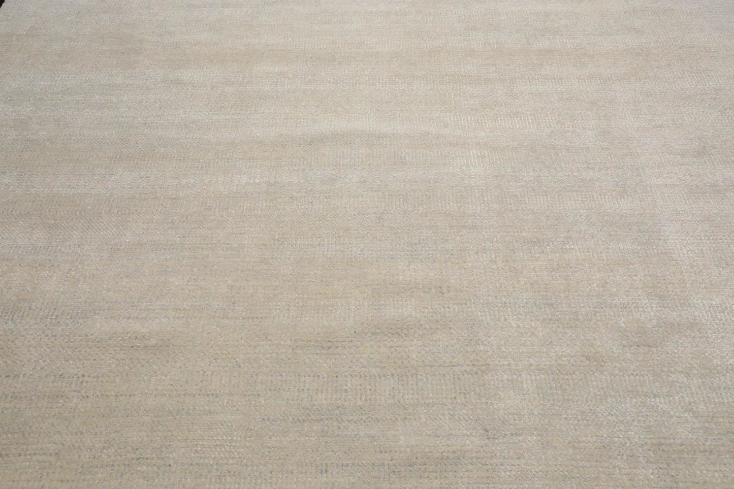 Multi Sizes Beige Hand Knotted Wool and Silk Modern Oriental Area Rug-3
