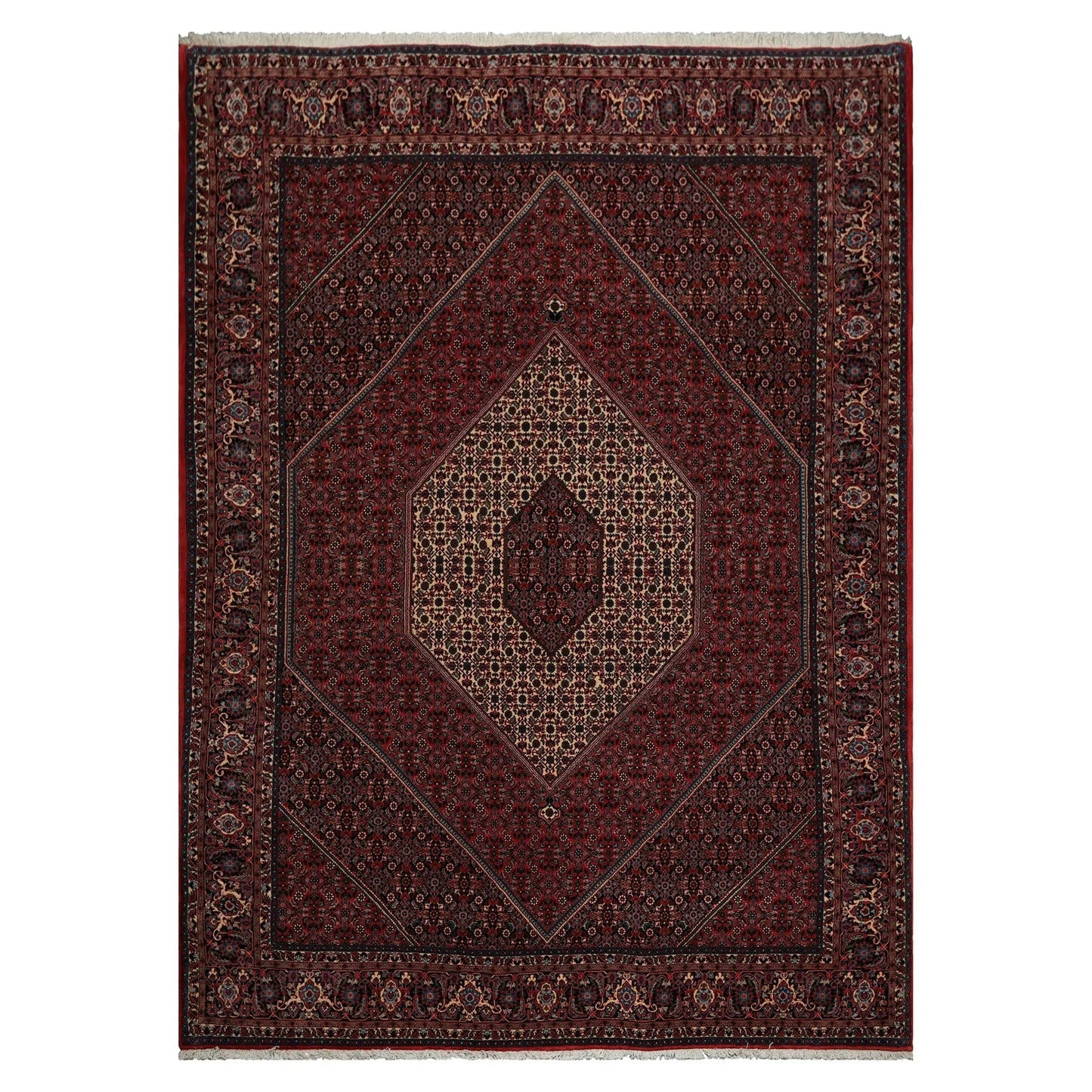 8x10 Red Hand Knotted Wool Authentic Bidjar medallion 300 KPSI Persian Oriental Area Rug-2