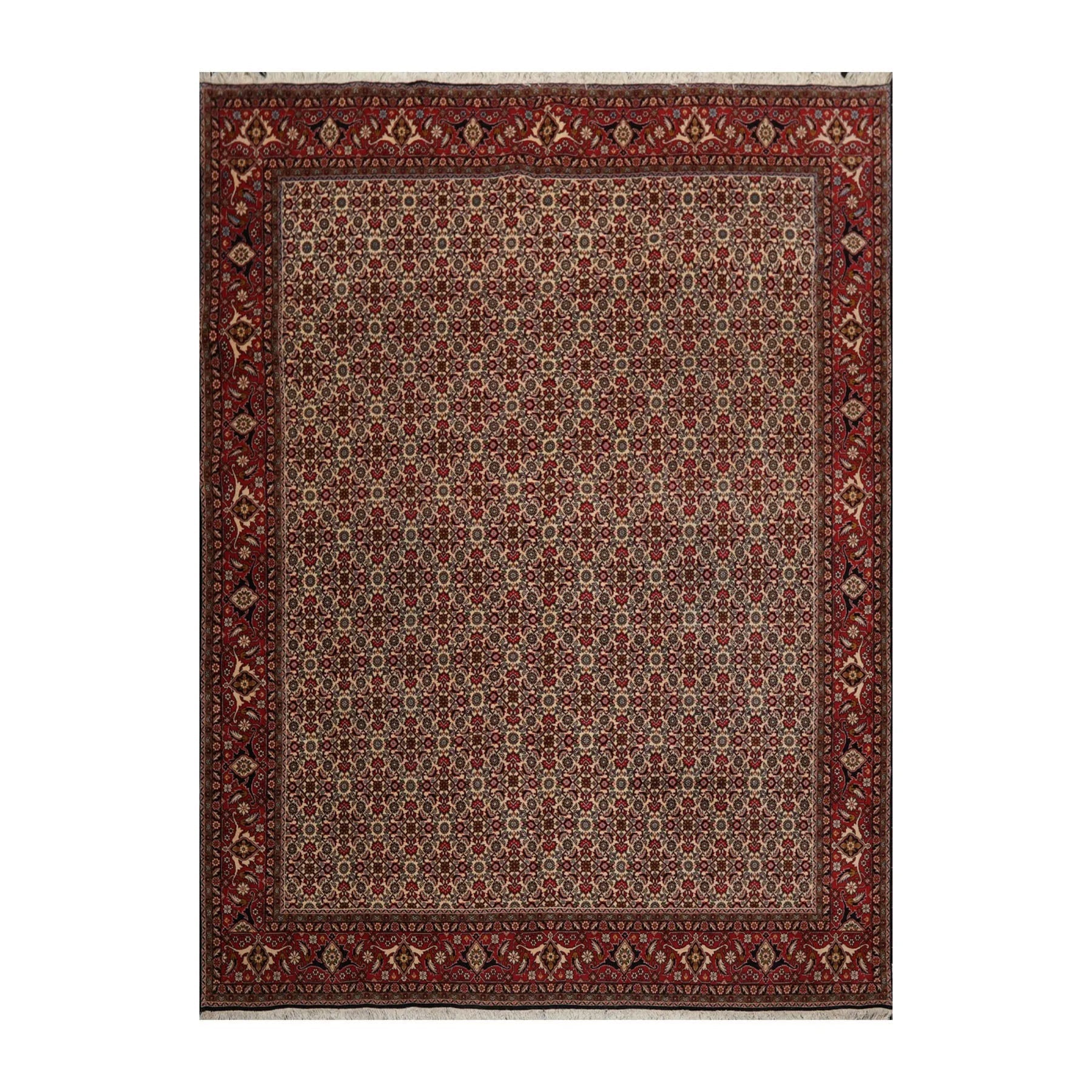 8'2" x 11'2" Hand Knotted 100% Wool Authentic Bidjar Oriental Area Rug Ivory-2