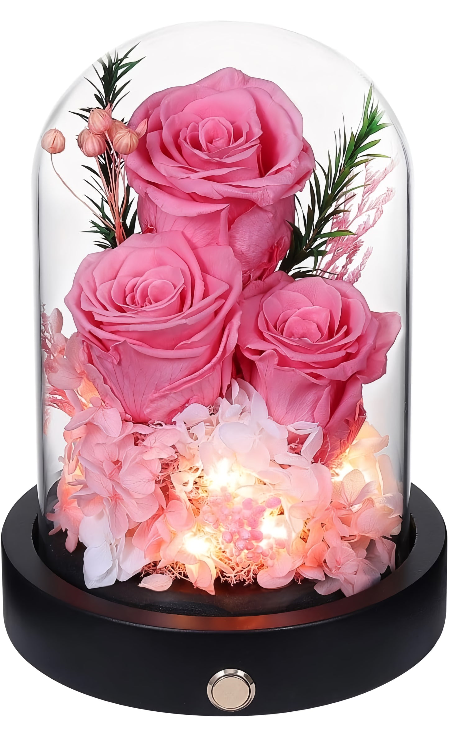 100% Real Preserved Flowers in Glass Dome with LED, Red Roses for Delivery