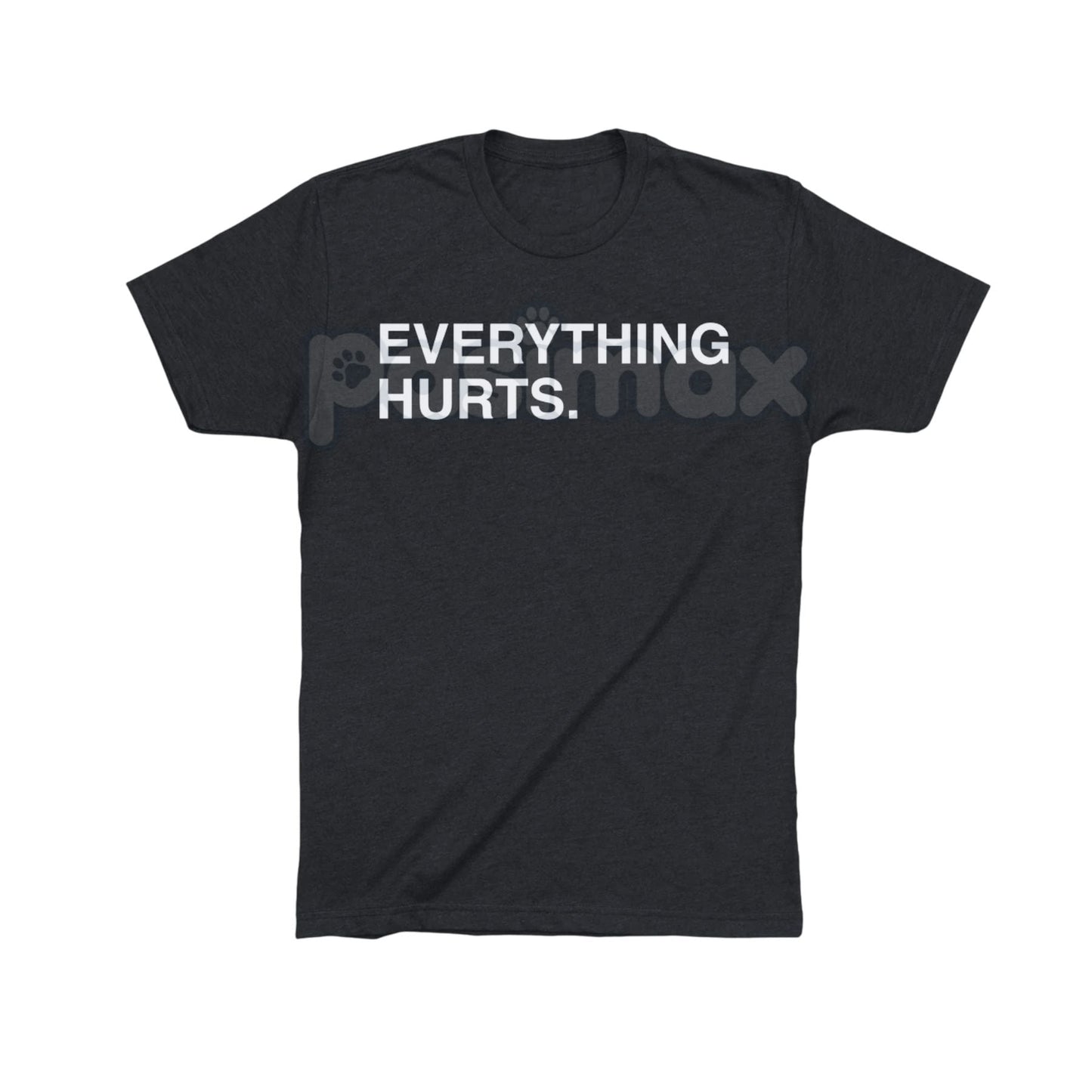 "EVERYTHING HURTS" Funny Graphic Tee - Workout & Chronic Pain Sarcastic Statement Shirt, Unisex Humor Apparel