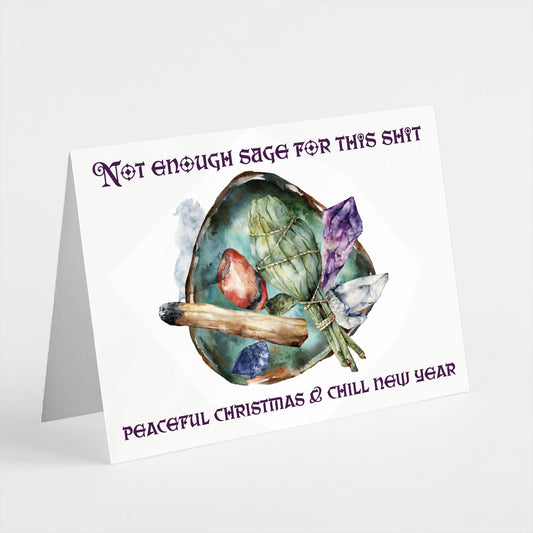 Funny Christmas and New Year Greeting Cards, Set of 24