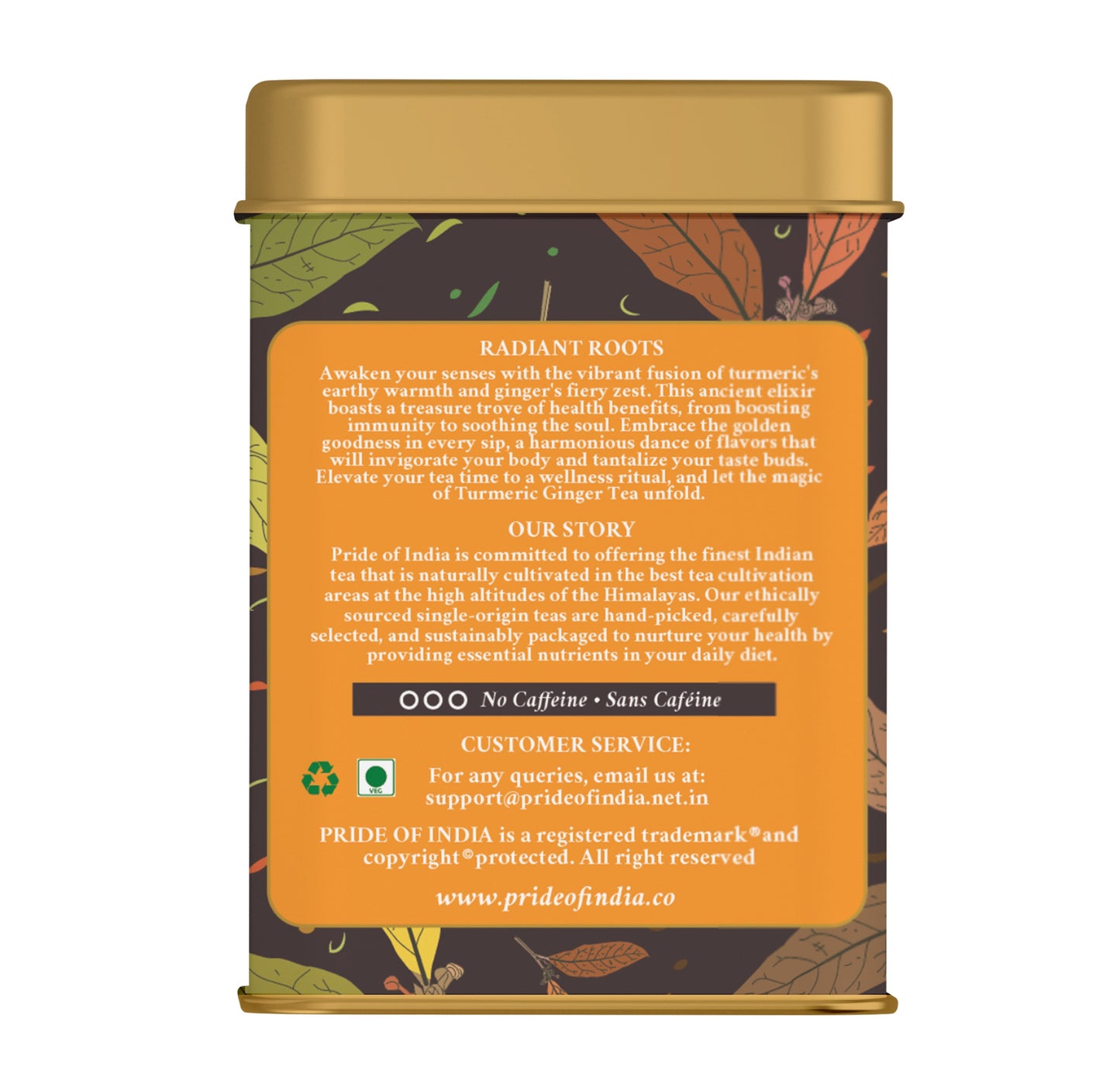 Golden Elixir - Turmeric Ginger Tea Bags-2