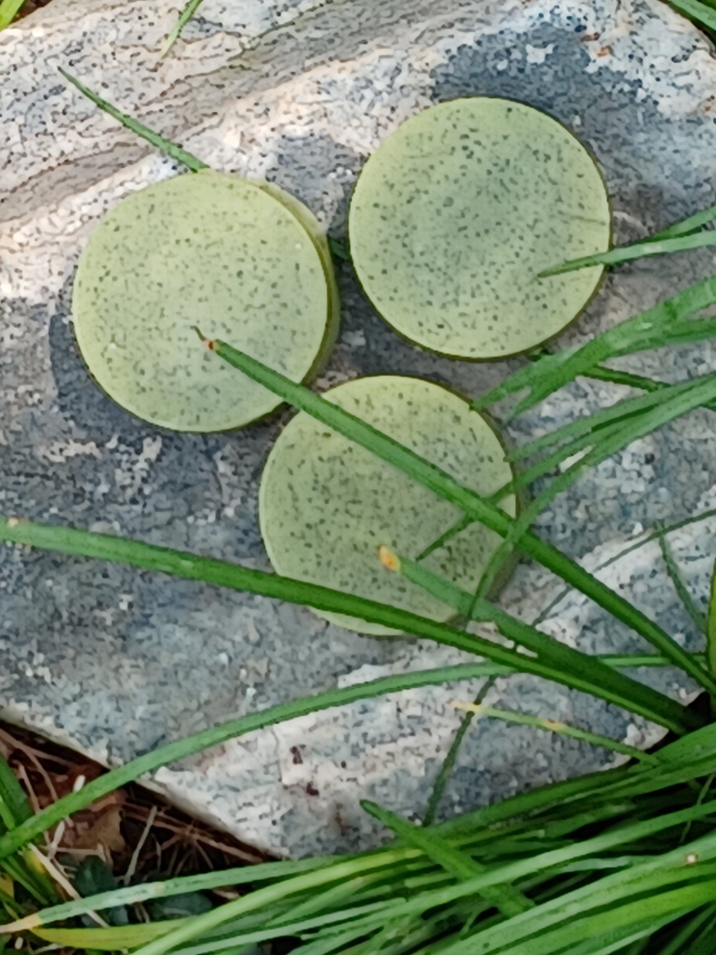 Moringa Soap Bar-0
