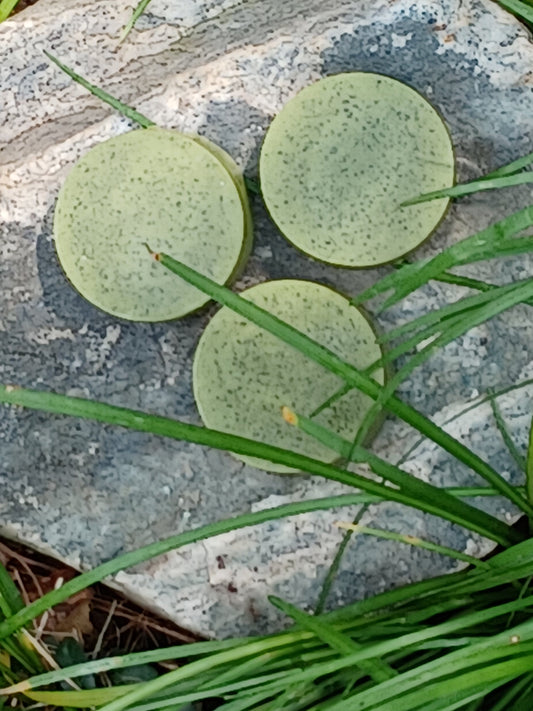 Moringa Soap Bar-0
