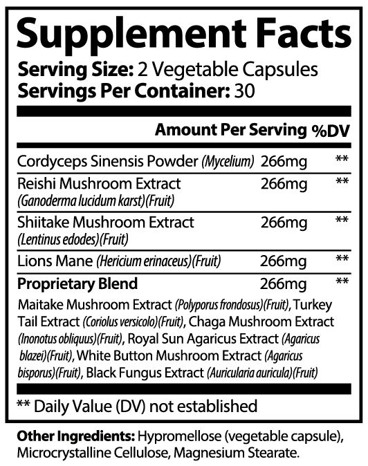 Wondering Mushroom Complex 10 X